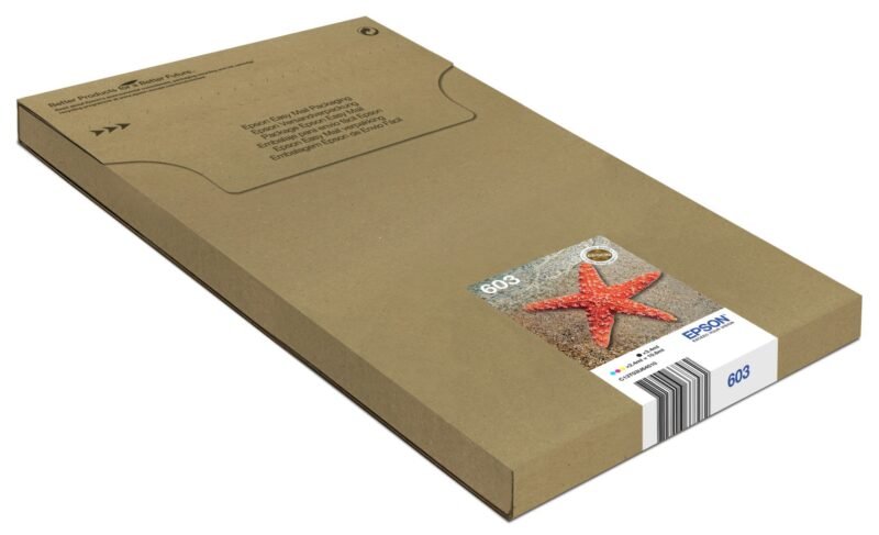 Epson Multipack 4-colours 603 EasyMail, foto 1 van 1